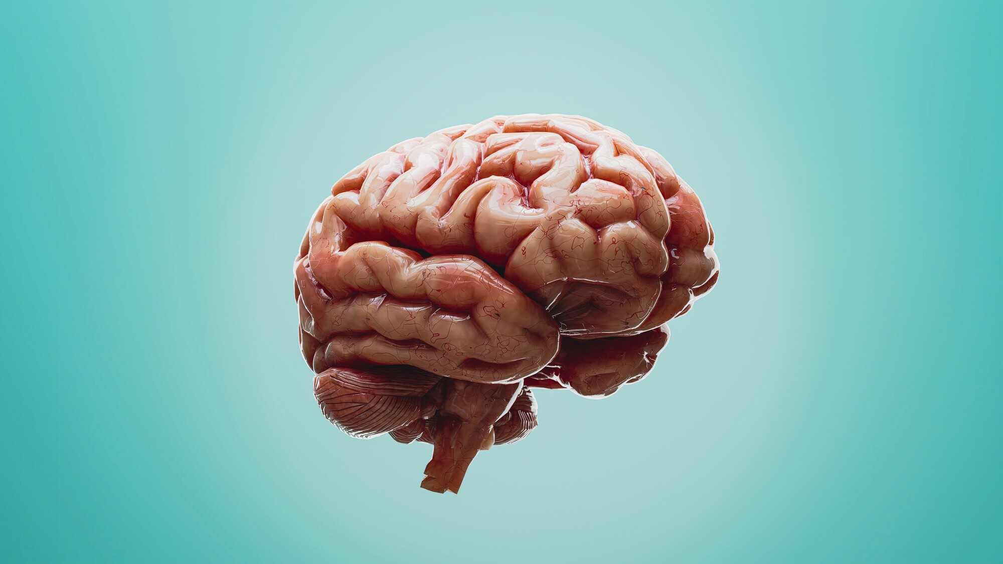 The Brain Health Center